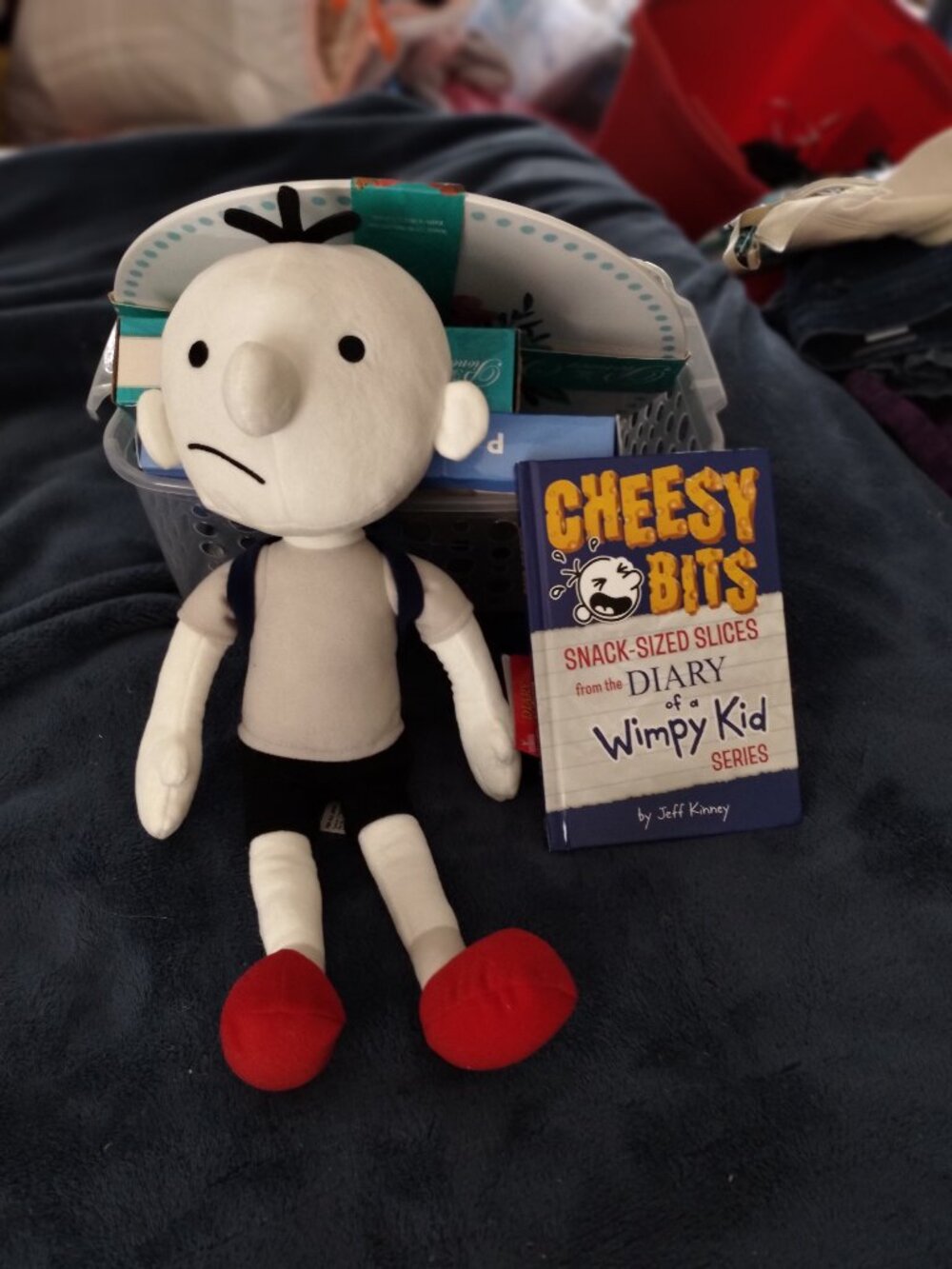 Diary of a Wimpy Kid stuffed plush toy and book.new